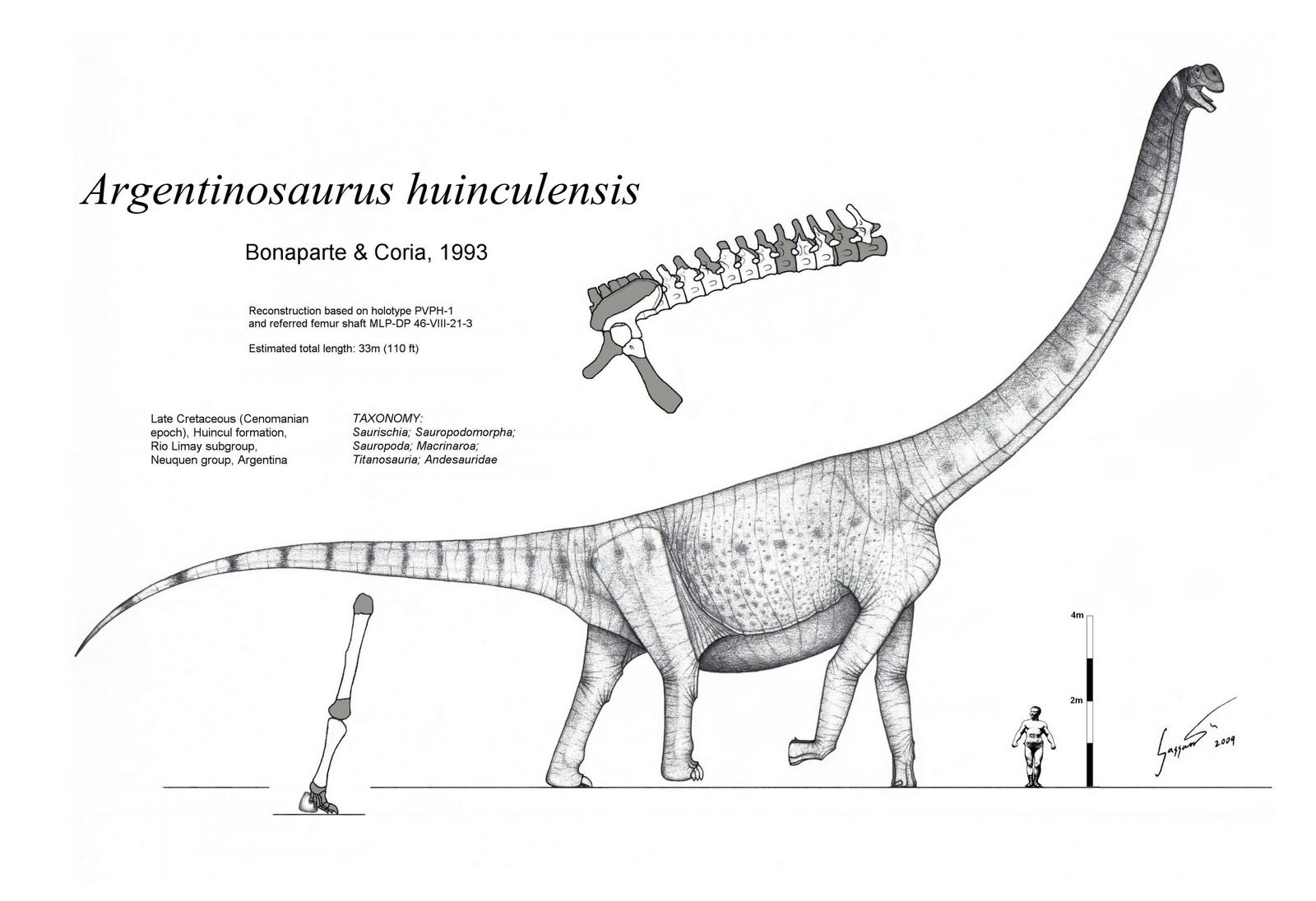 Argentinosaurus huinculensis